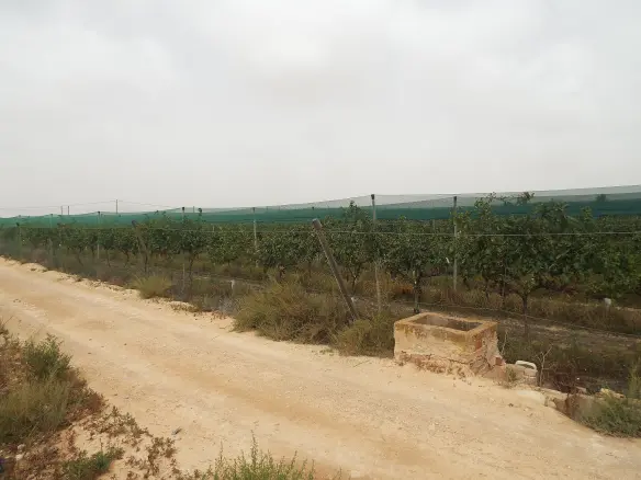 Land In Monforte Del Cid, Spain (14.694 M² Plot)