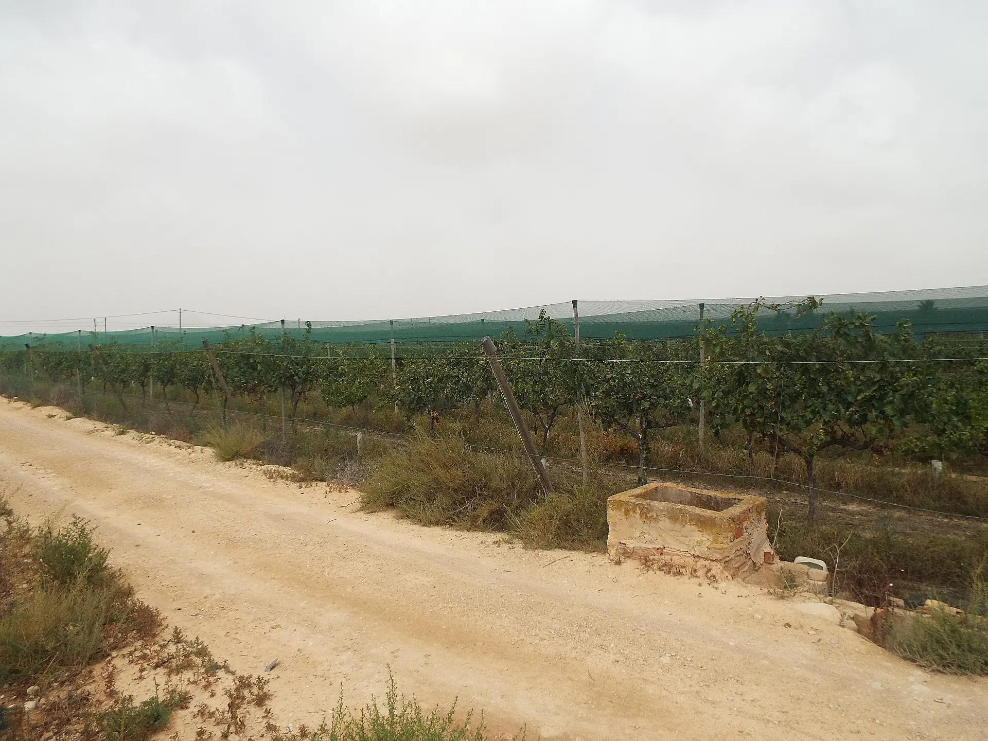 Land Of 0 M² In Monforte Del Cid, Spain
