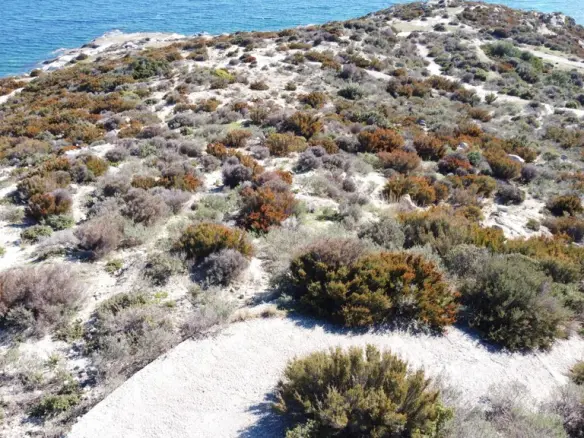 Land In Sithonia, Greece (500 M²)