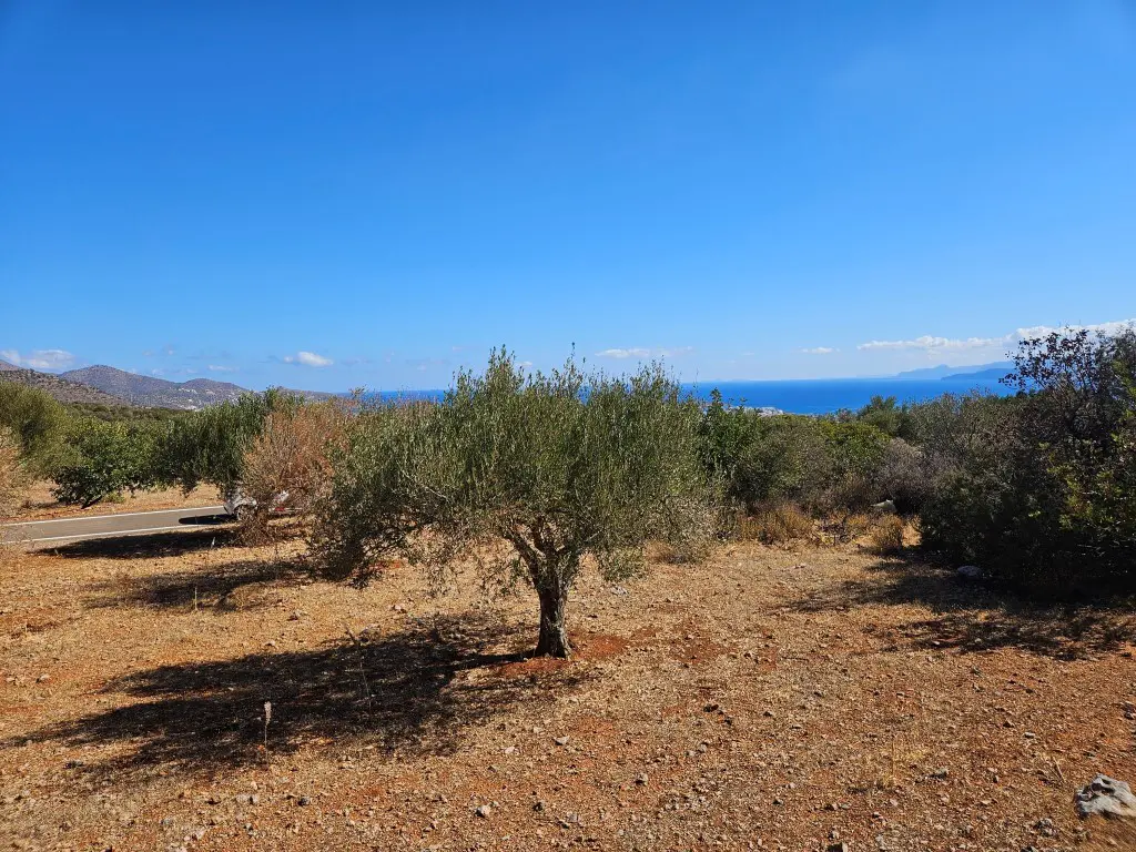 Land Of 4033 M² In Crete