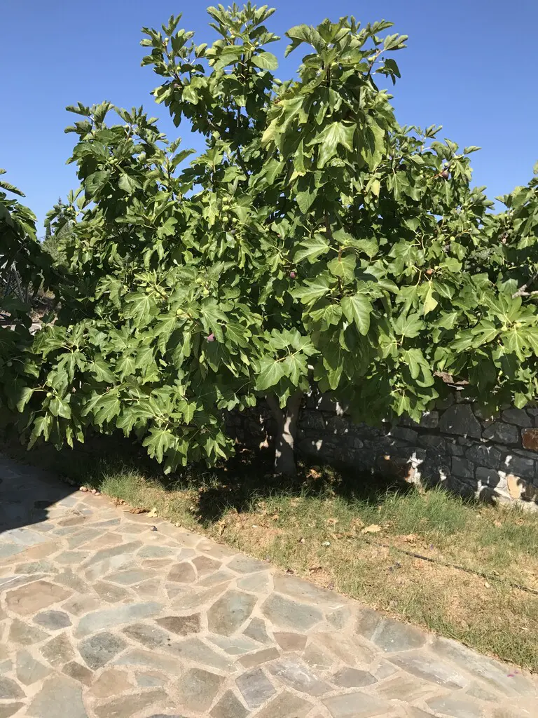 Detached House Of 101 M² In Peloponnese