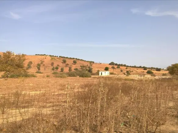Land In Geropotamos, Greece