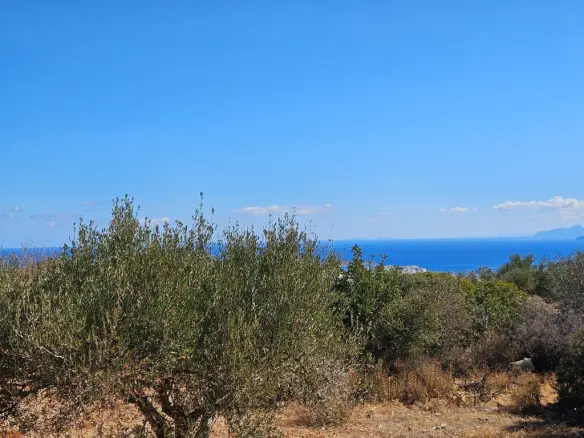 Land Of 4033 M² In Crete