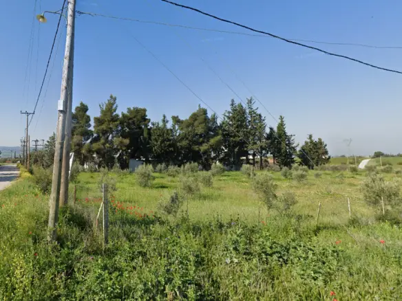 Land In Vasilika, Greece