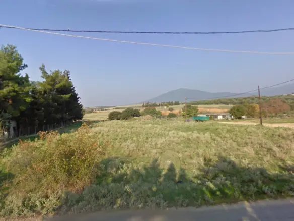 Land In Vasilika, Greece