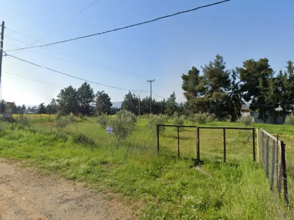 Land In Vasilika, Greece