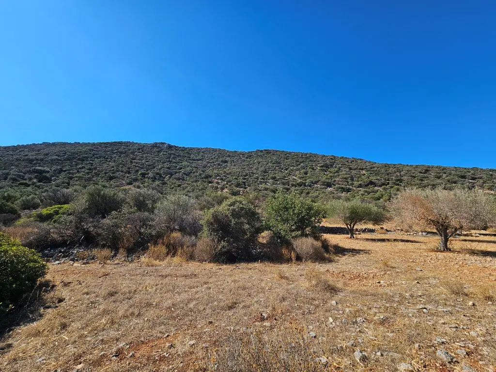 Land Of 4033 M² In Crete