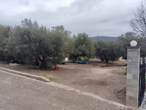 Land Of 1305 M² In Sithonia, Chalkidiki
