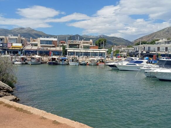 Property Land Greece Attica Nea Makri