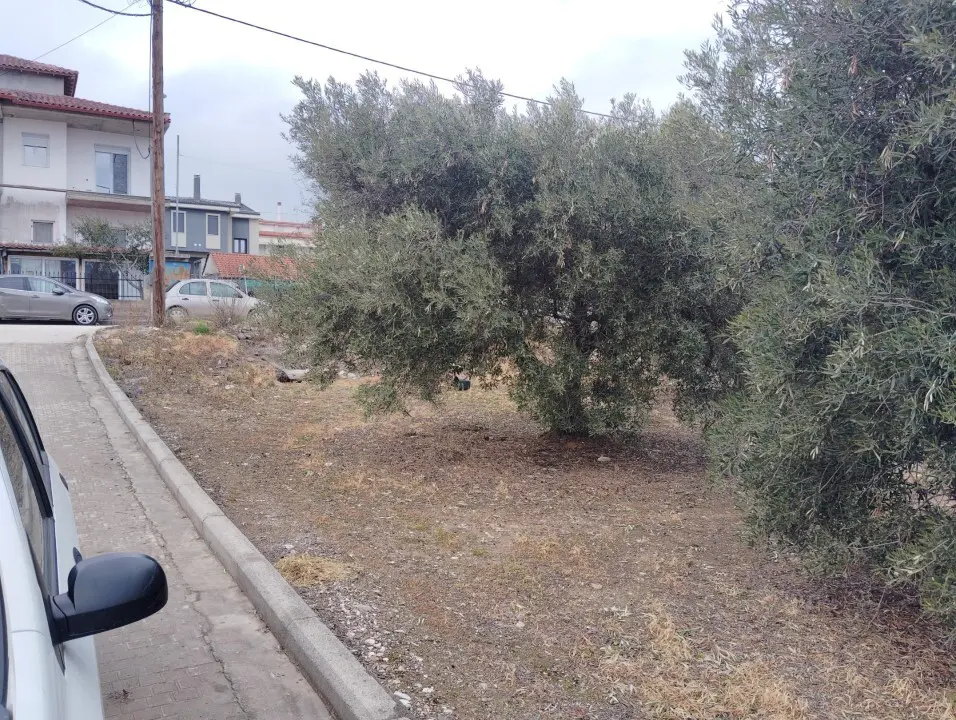 Land Of 1305 M² In Sithonia, Chalkidiki
