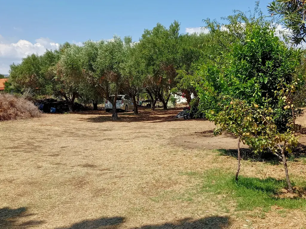 Detached House Of 90 M² In Sithonia, Chalkidiki