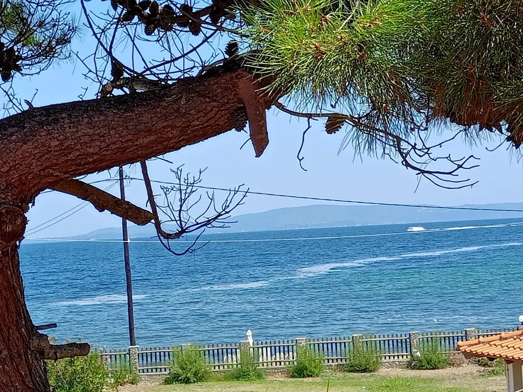 Detached House Of 90 M² In Sithonia, Chalkidiki