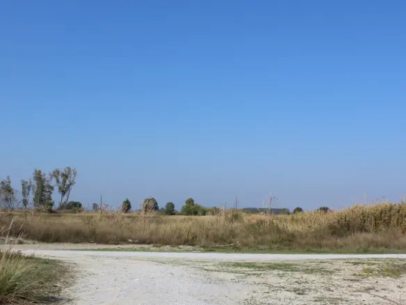 Land In Litochoro, Greece