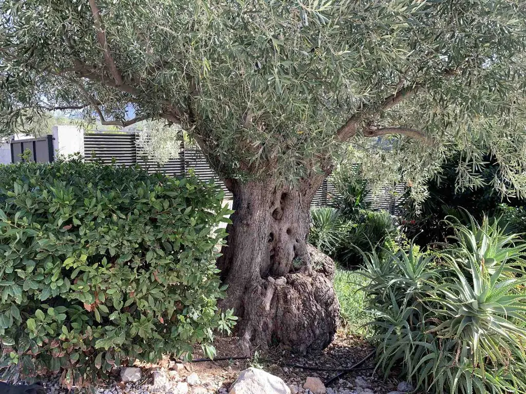 Detached House Of 340 M² In Loutraki