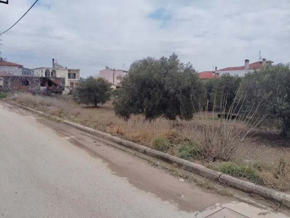 Land In Poligiros, Greece