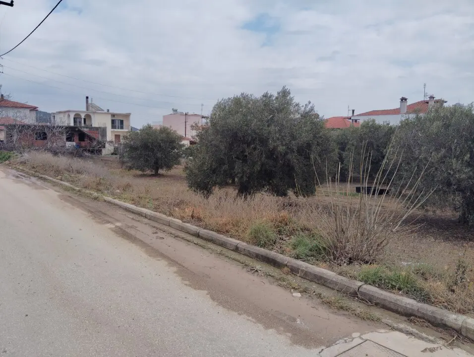 Land Of 1305 M² In Sithonia, Chalkidiki