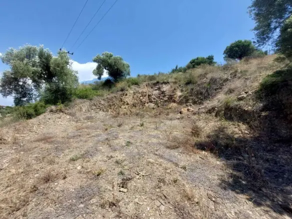 Land In Sithonia, Greece