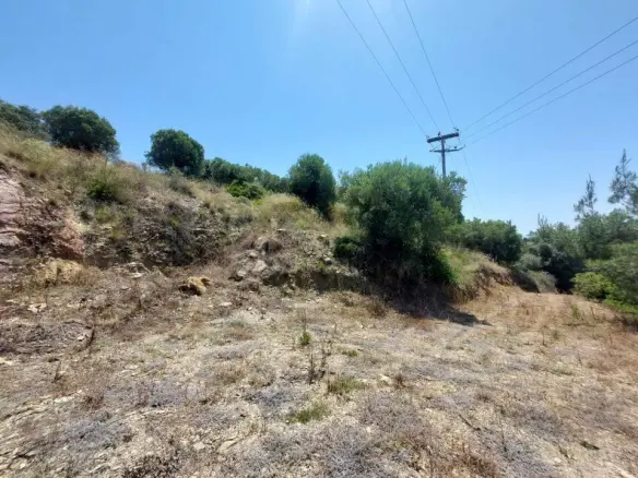 Land In Sithonia, Greece