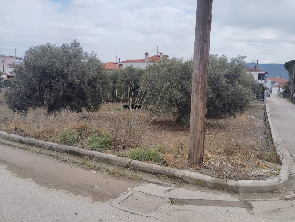 Land Of 1305 M² In Sithonia, Chalkidiki