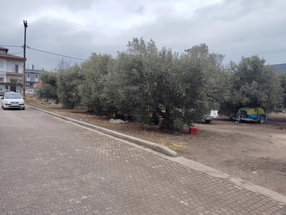 Land Of 1305 M² In Sithonia, Chalkidiki