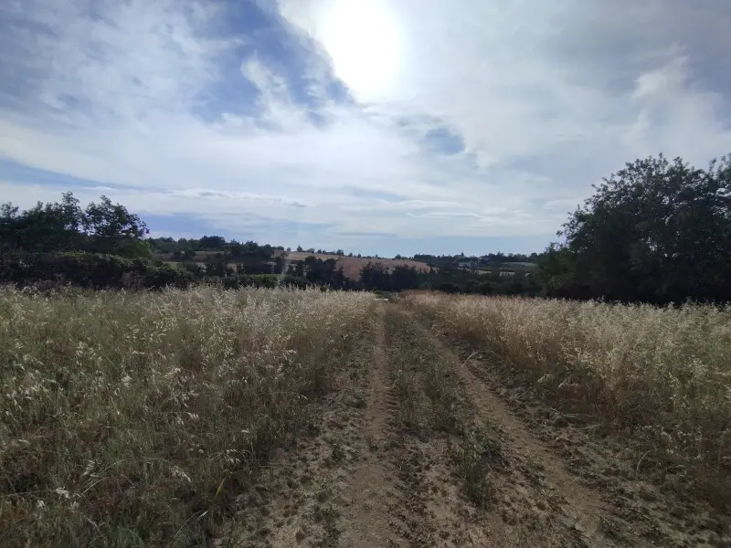 Land Of 4182 M² In The Suburbs Of Thessaloniki