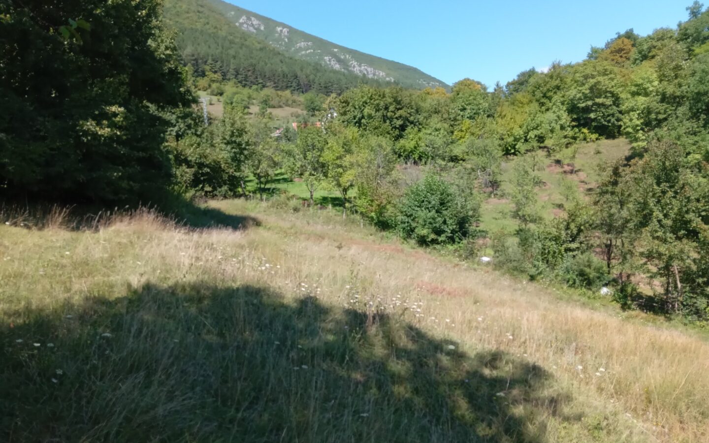 18,012 M² Land For Sale Near Ribnik River – Bosnia Nature & Fly Fishing Paradise