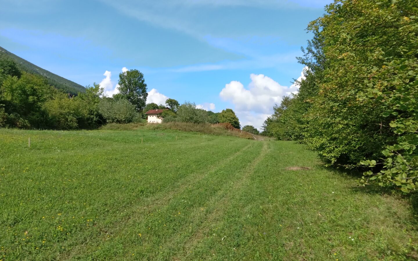 18,012 M² Land For Sale Near Ribnik River – Bosnia Nature & Fly Fishing Paradise