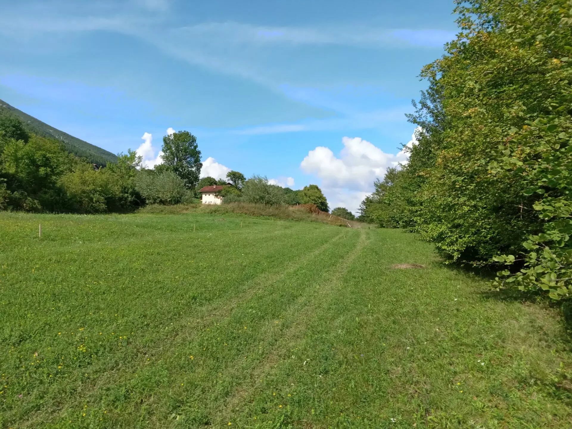 18,012 M² Land For Sale Near Ribnik River – Bosnia Nature & Fly Fishing Paradise