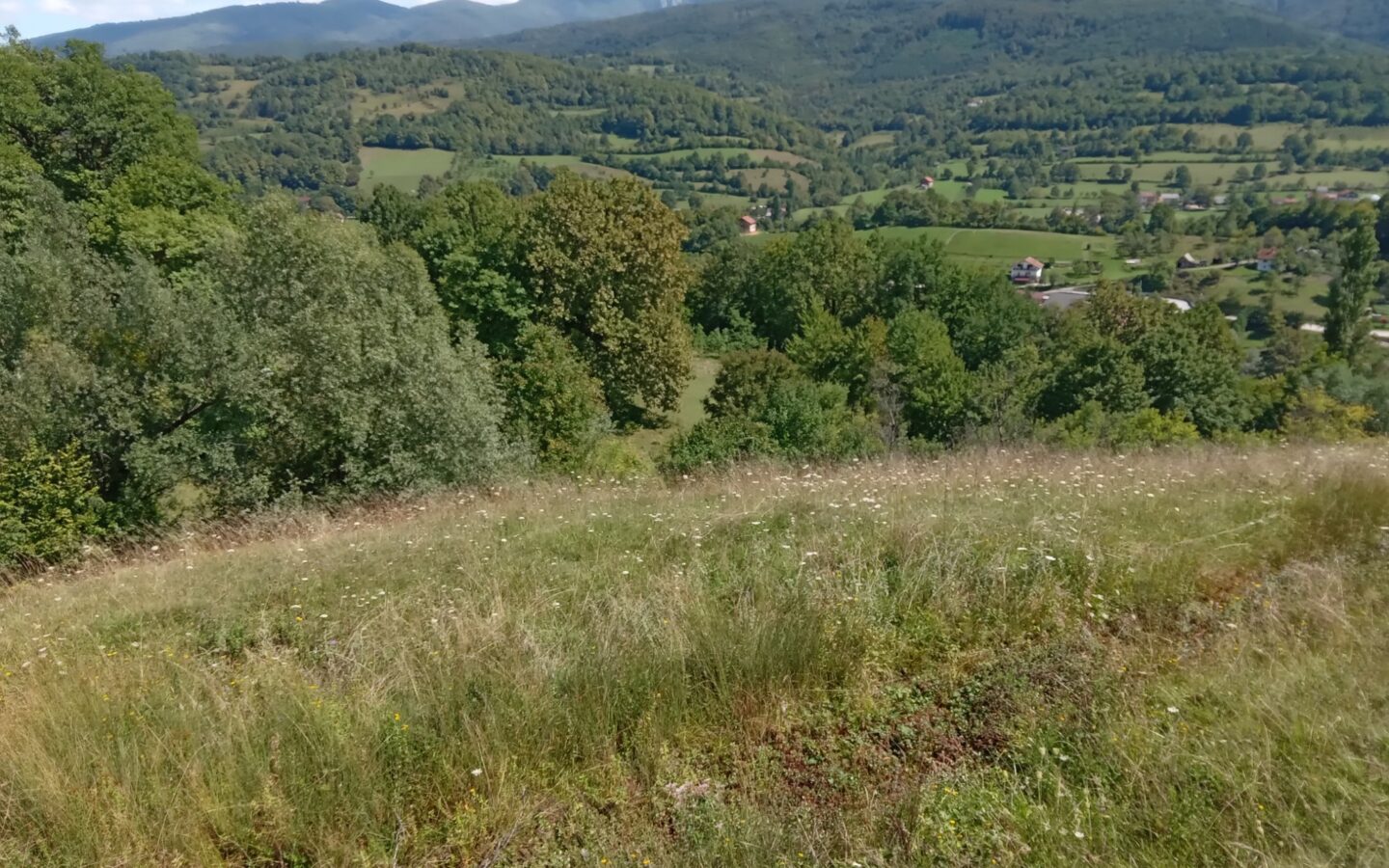 18,012 M² Land For Sale Near Ribnik River – Bosnia Nature & Fly Fishing Paradise