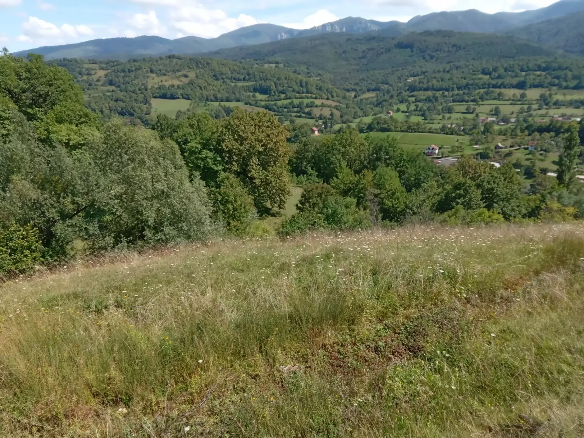 18,012 M² Land For Sale Near Ribnik River – Bosnia Nature & Fly Fishing Paradise