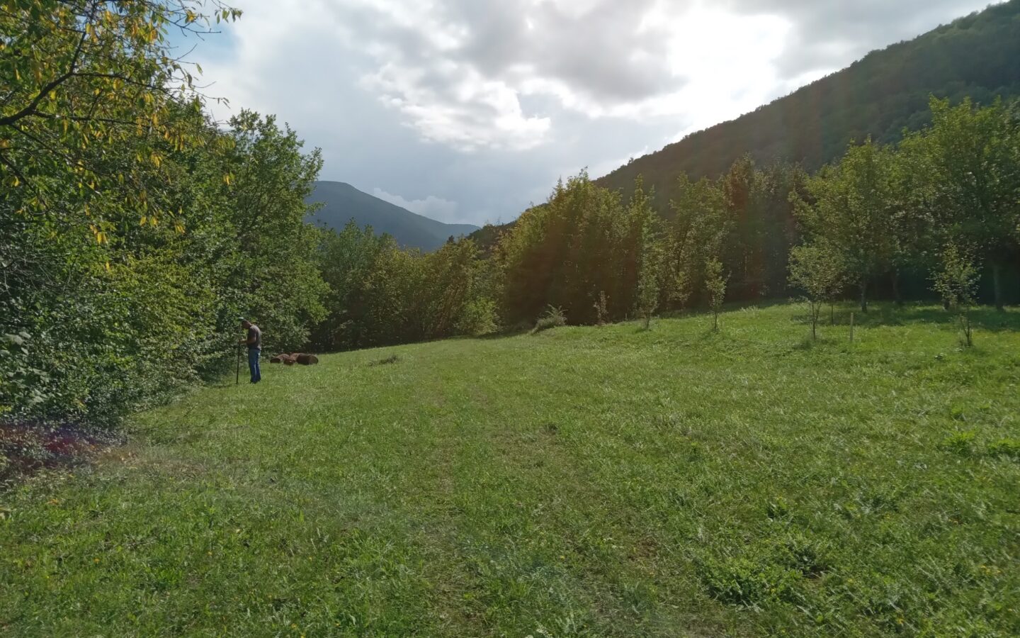 18,012 M² Land For Sale Near Ribnik River – Bosnia Nature & Fly Fishing Paradise
