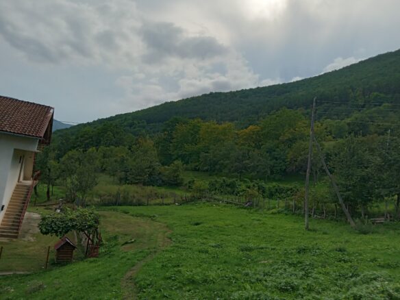 18,012 M² Land For Sale Near Ribnik River – Bosnia Nature & Fly Fishing Paradise