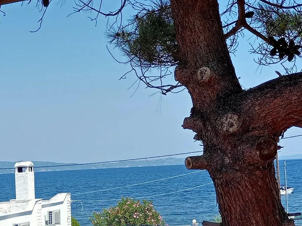 Detached House Of 90 M² In Sithonia, Chalkidiki