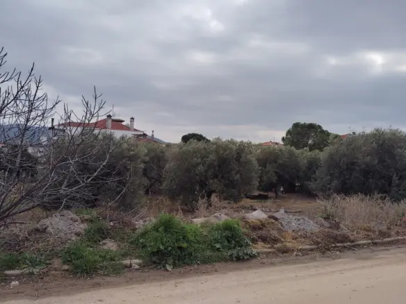 Land In Poligiros, Greece