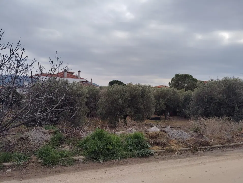 Land Of 1305 M² In Sithonia, Chalkidiki