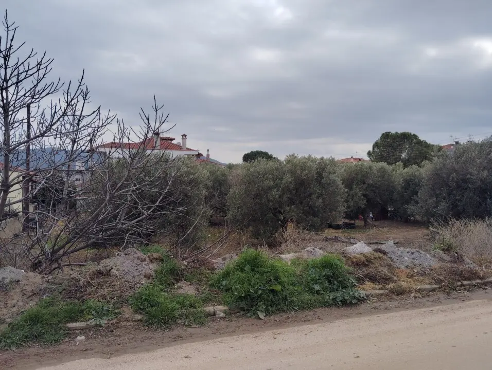 Land Of 1305 M² In Sithonia, Chalkidiki