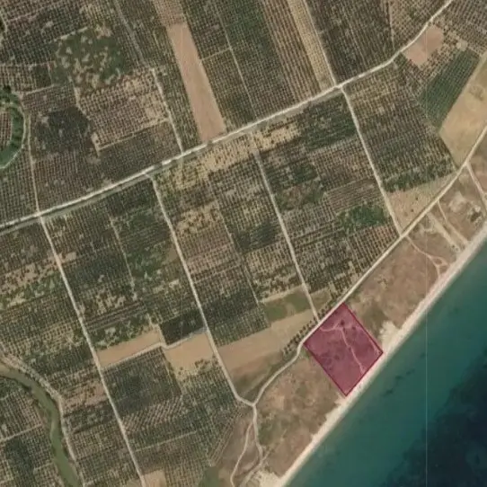 Land Of 9500 M² In Chalkidiki