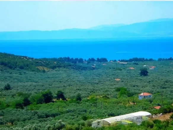 Land Of 25000 M² In Thassos