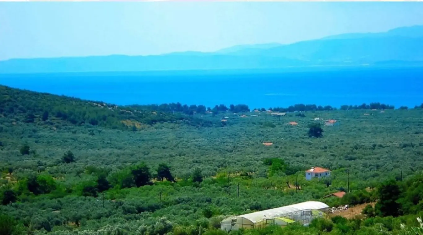 Land Of 25000 M² In Thassos