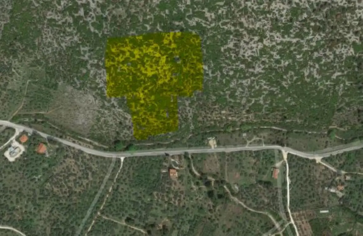 Land Of 25000 M² In Thassos