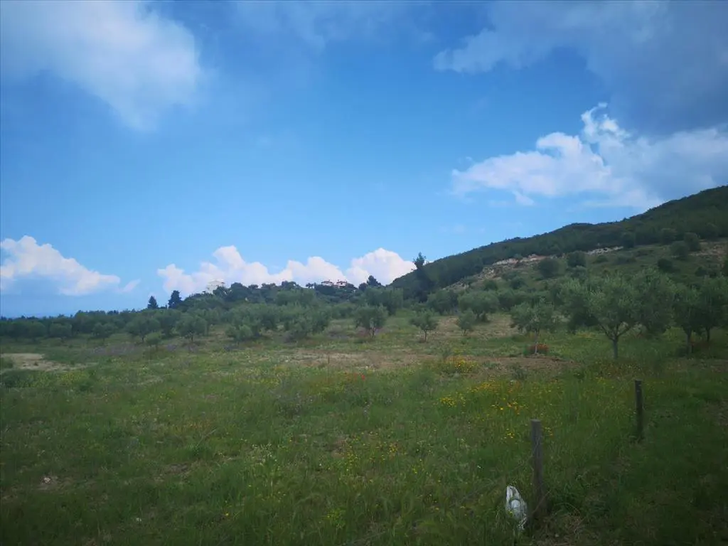 Land Of 18500 M² In Kassandra, Chalkidiki