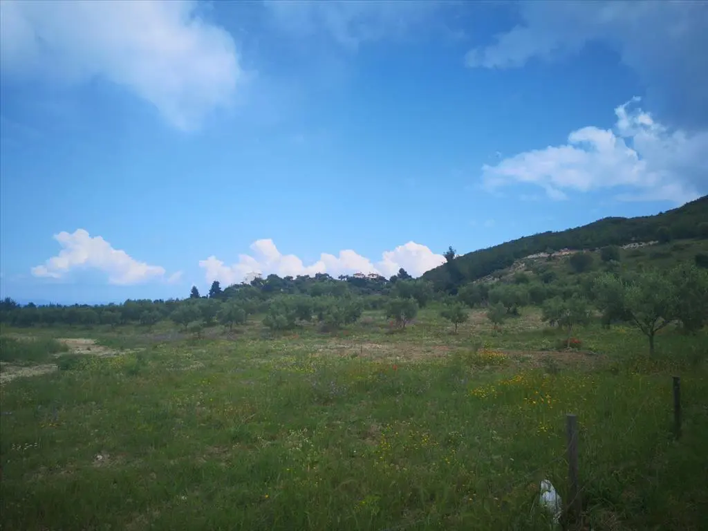Land Of 18500 M² In Kassandra, Chalkidiki
