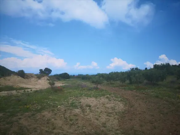 Land Of 18500 M² In Kassandra, Chalkidiki