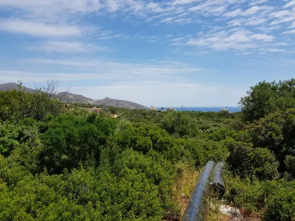 Land In Agios Nikolaos, Greece