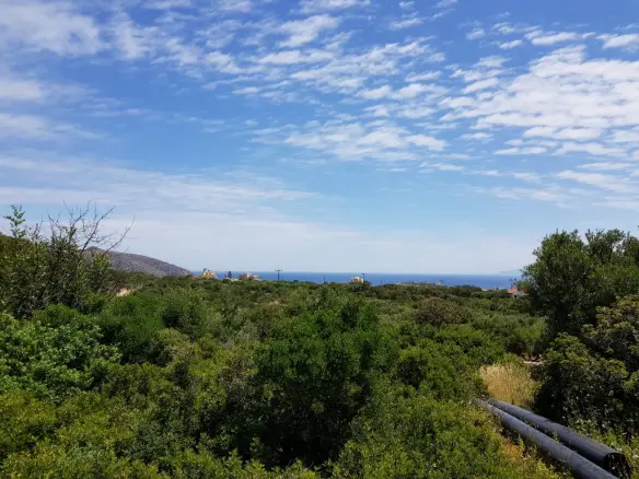 Land Of 4520 M² In Crete