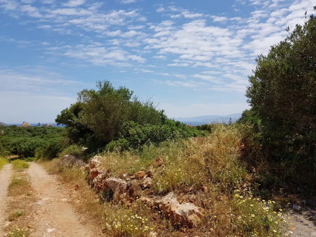 Land Of 4520 M² In Crete