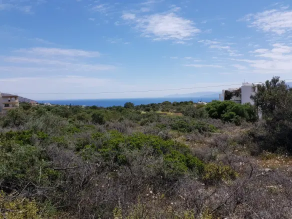 Land Of 6000 M² In Crete