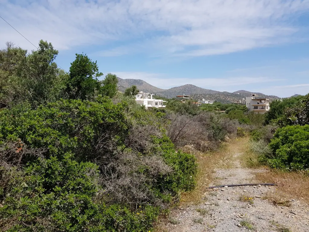 Land Of 6000 M² In Crete