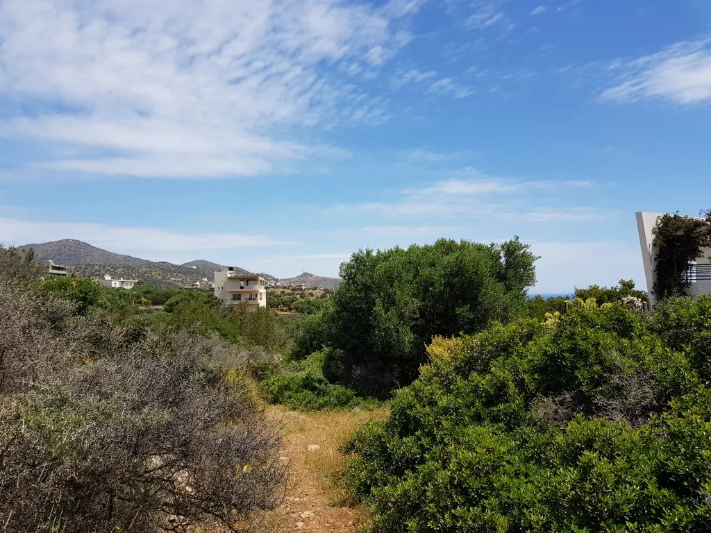 Land Of 6000 M² In Crete