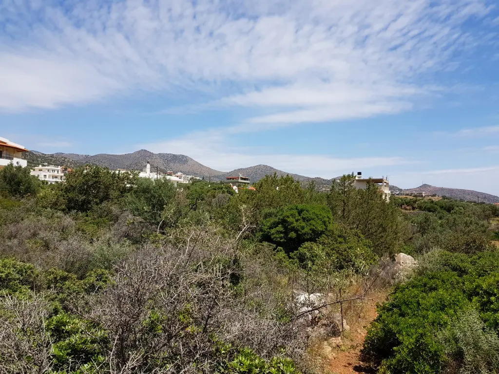 Land Of 6000 M² In Crete